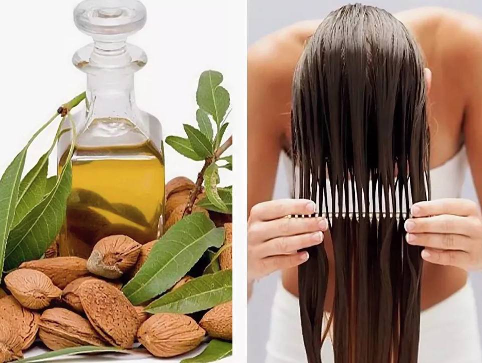 Миндальное масло для волос в домашних условиях: рецепты масок, отзывы и применение