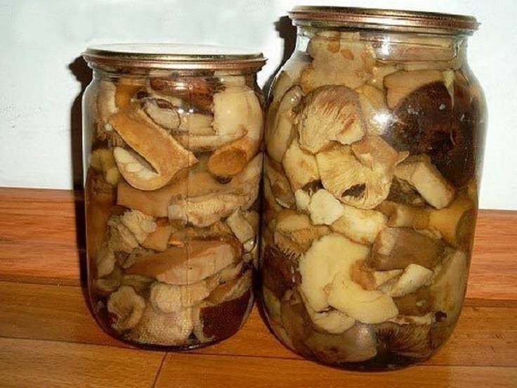 Лучшие маринады для грибов – рецепты самых вкусных грибов маринованных на зиму с фото