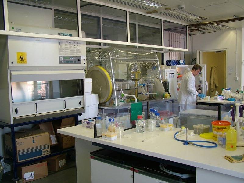 Микробиологические лаборатории