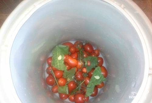 Как сделать бочковые помидоры дома