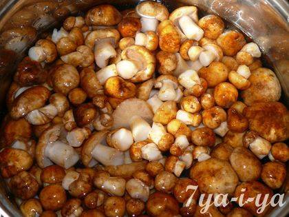 Валуи: простые и вкусные рецепты маринования и засолки грибов различными способами, на любой вкус