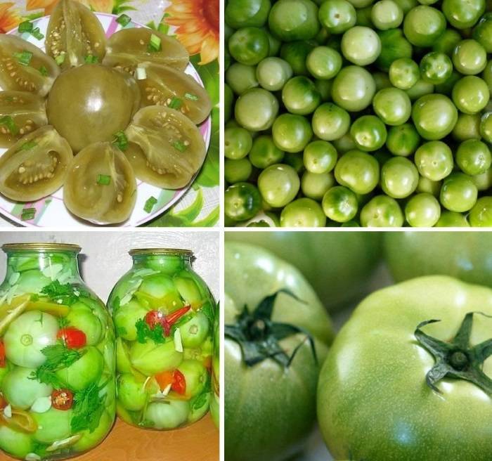 Рецепты зеленых помидор быстрого приготовления на зиму в банках