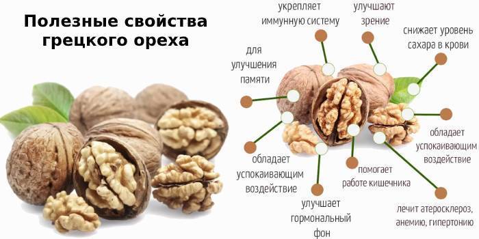 Грецкий орех для мужчин: польза и вред, противопоказания