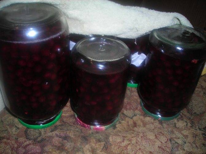 Виноградный сок на зиму в домашних условиях: рецепты приготовления