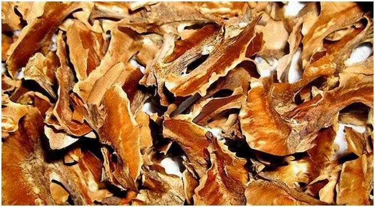 Скорлупа грецкого ореха: применение, лечебные свойства и вред
