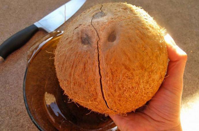 Как разбить кокос