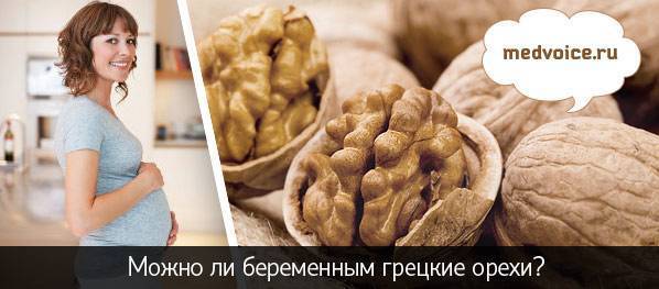 Польза грецких орехов при беременности