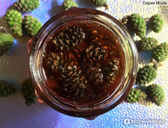 Варенье из сосновых шишек — полезные свойства и 9 способов его приготовить