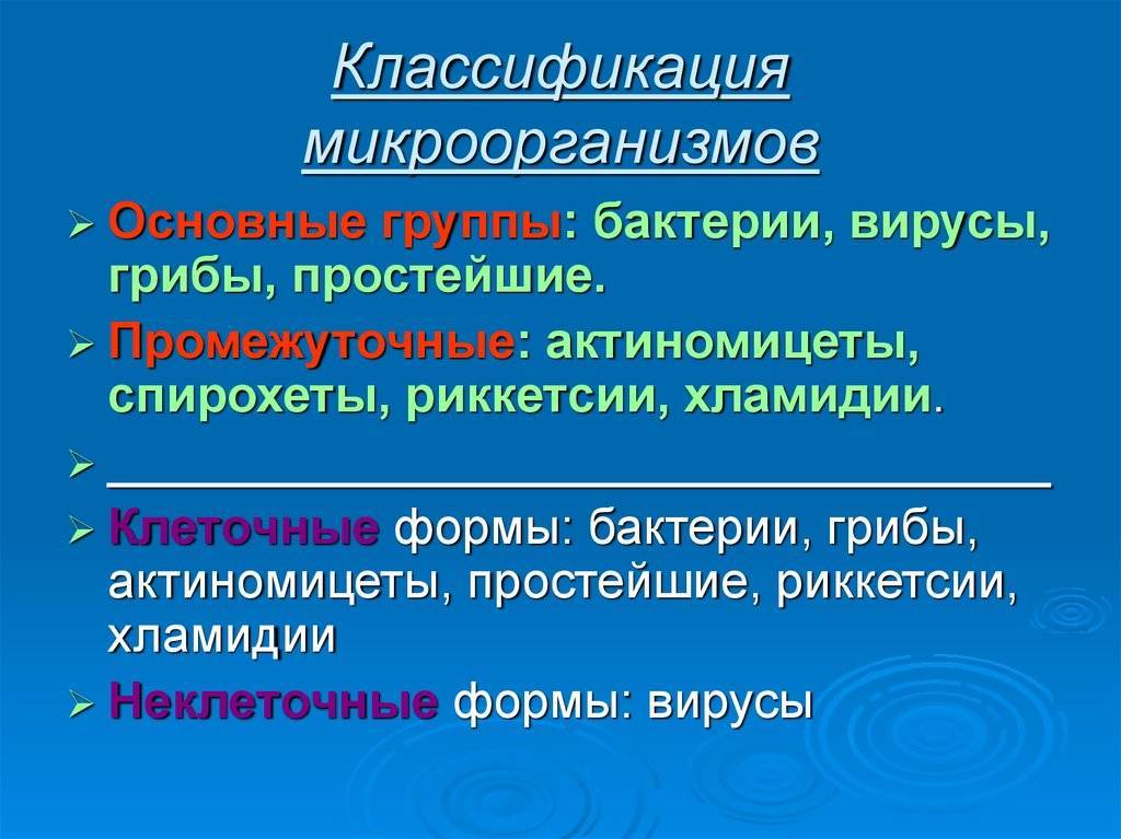 Принципы классификации микроорганизмов. основные группы микроорганизмов :: syl.ru