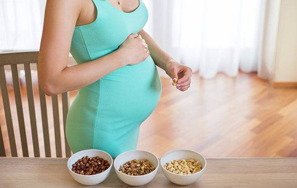 Орехи при беременности по семестрам и на ранних сроках