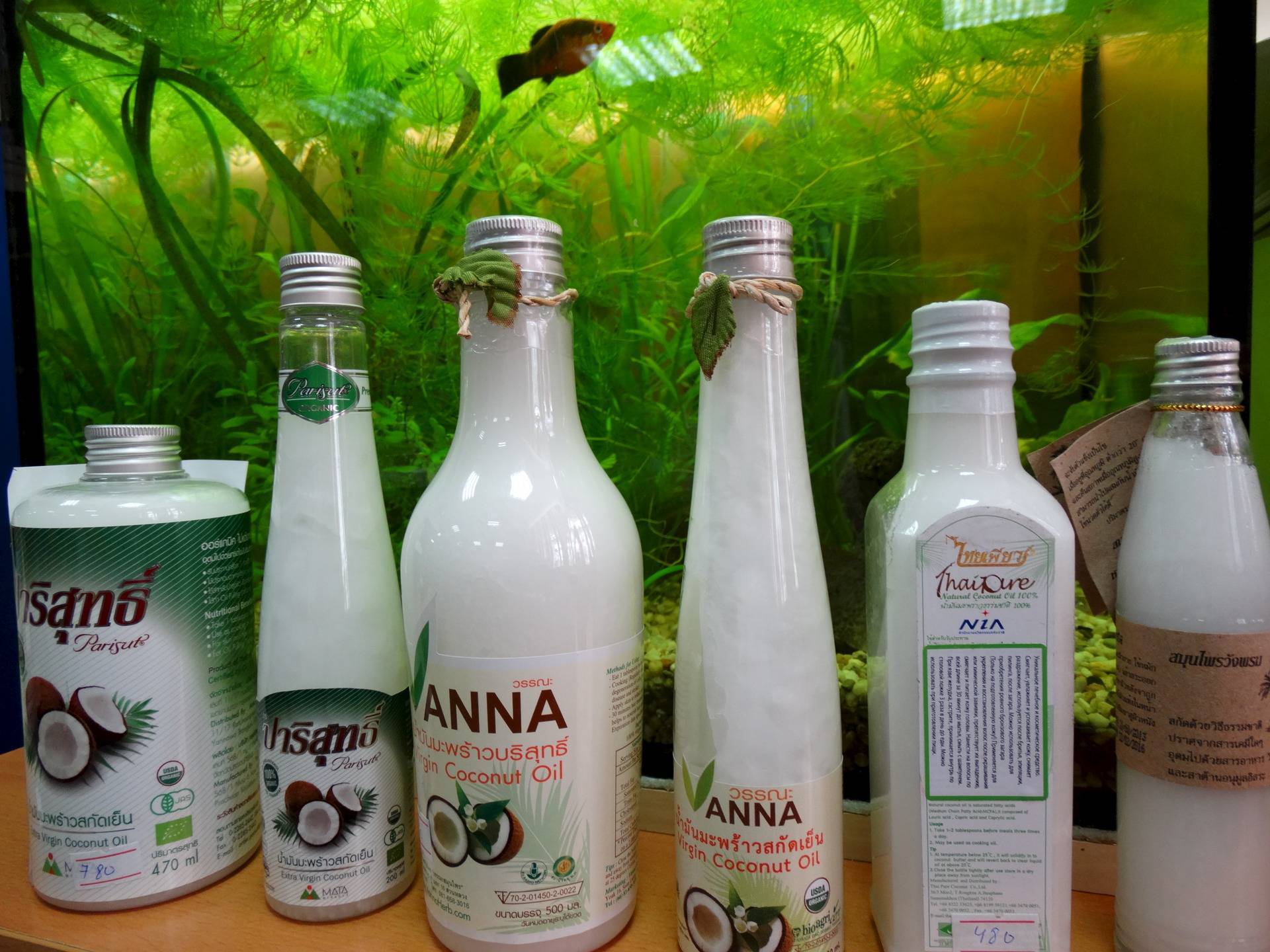 Тайское масло кокосовое: применение, свойства, фото