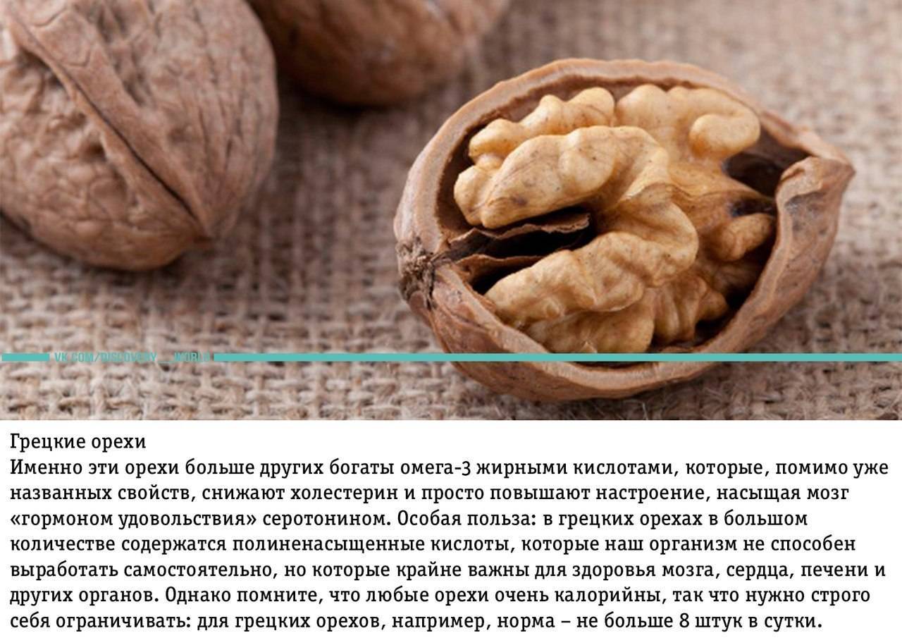 Грецкий орех: калорийность 1 ореха, польза и вред