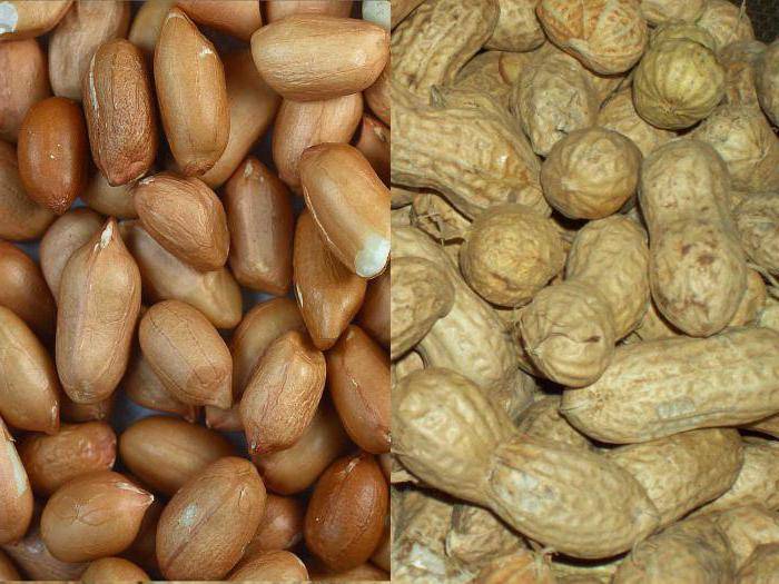 Сравнительная таблица химического состава арахиса и грецкого ореха – что полезнее? как их выбирать и употреблять?