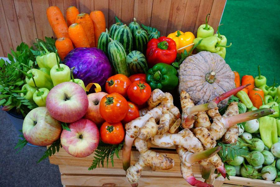 Как правильно хранить овощи в овощехранилище