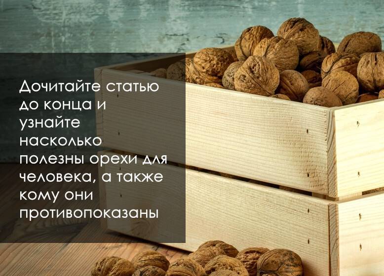 Чем полезен грецкий орех для мужчин: основные свойства