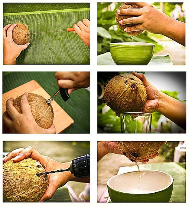 Как открыть кокос - просто и быстро в домашних условиях, видео