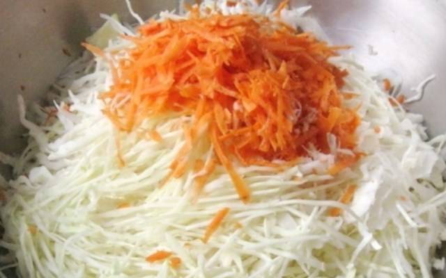 Салат из капусты с хреном и чесноком. капуста с хреном на зиму – лучшие рецепты для кулинарной книги