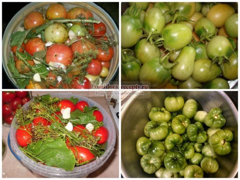 Засолка зеленых помидоров на зиму холодным способом в ведре – 5 рецептов с фото пошагово