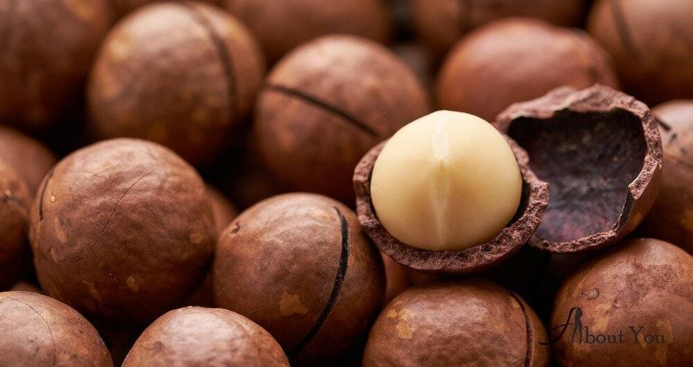 Макадамия орех из австралии. свойства, польза и вред, происхождение и цена макадамии