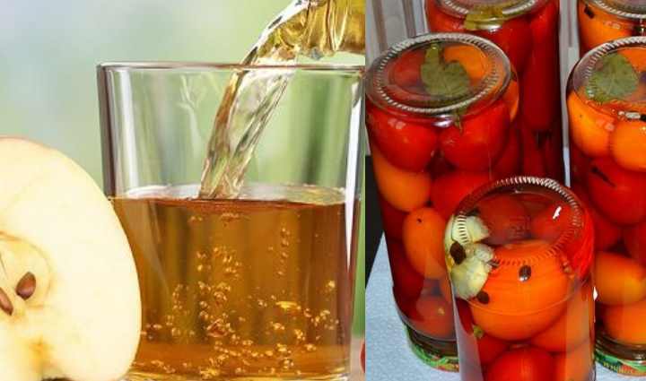 Сладкие помидоры на зиму с медом – вкусные заготовки с чесноком, базиликом, мятой