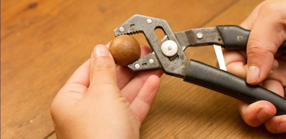 Как открыть орех макадамия ключом и подручными инструментами
