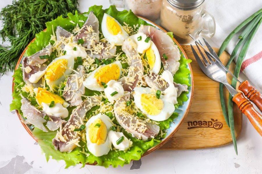 Салат мимоза с рыбными консервами —13 классических рецептов