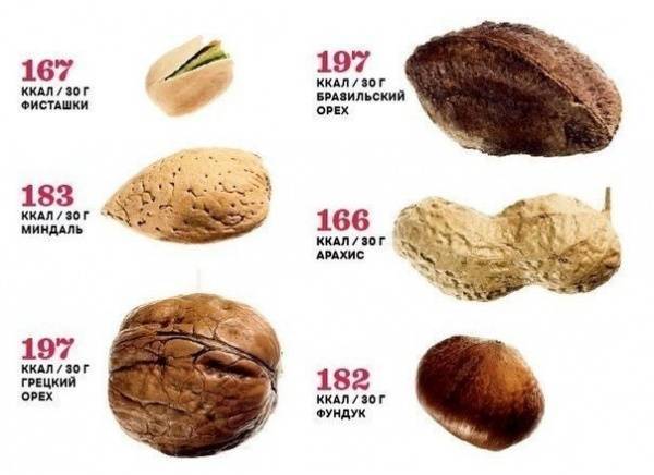 Грецкие орехи при похудении - сколько можно есть, польза