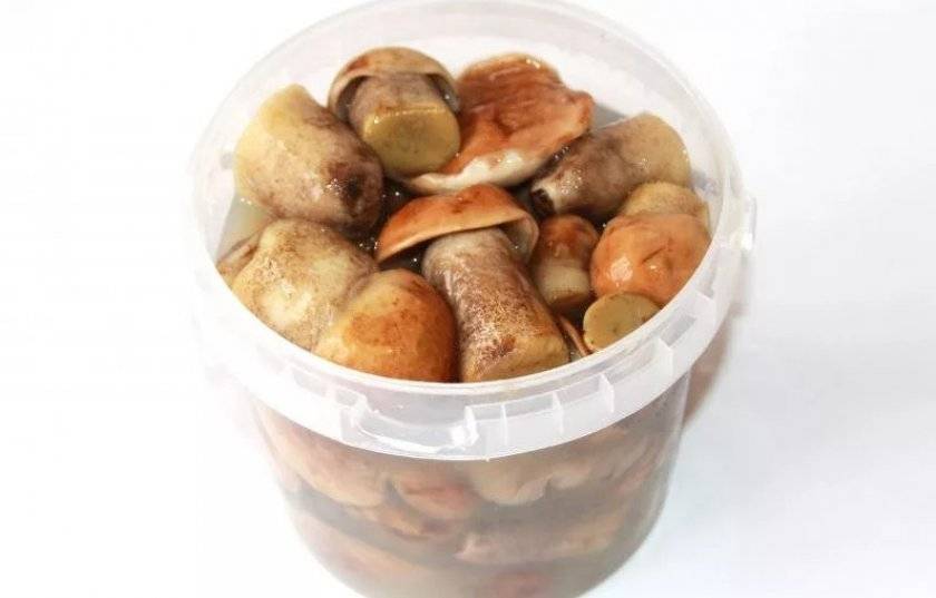 Как засолить замороженные опята в домашних условиях. как правильно солить грибы опята: домашние рецепты