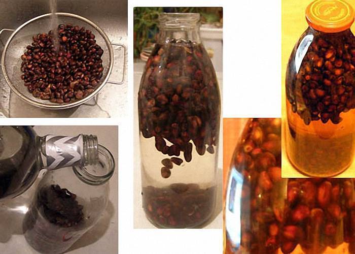 Кедровые орешки на водке – польза и вред, рецепты приготовления настойки
