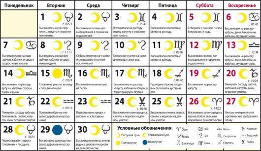 Солить капусту в ноябре 2020 года, чтобы она хрустела: благоприятные дни по лунному календарю