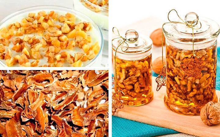 Орехи с медом - рецепты, полезные свойства и пропорции смешивания орехов с медом (100 фото)