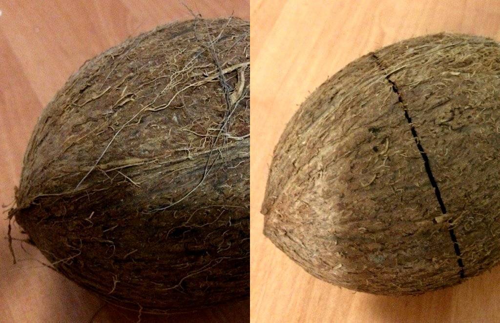 Как разделать кокос - other