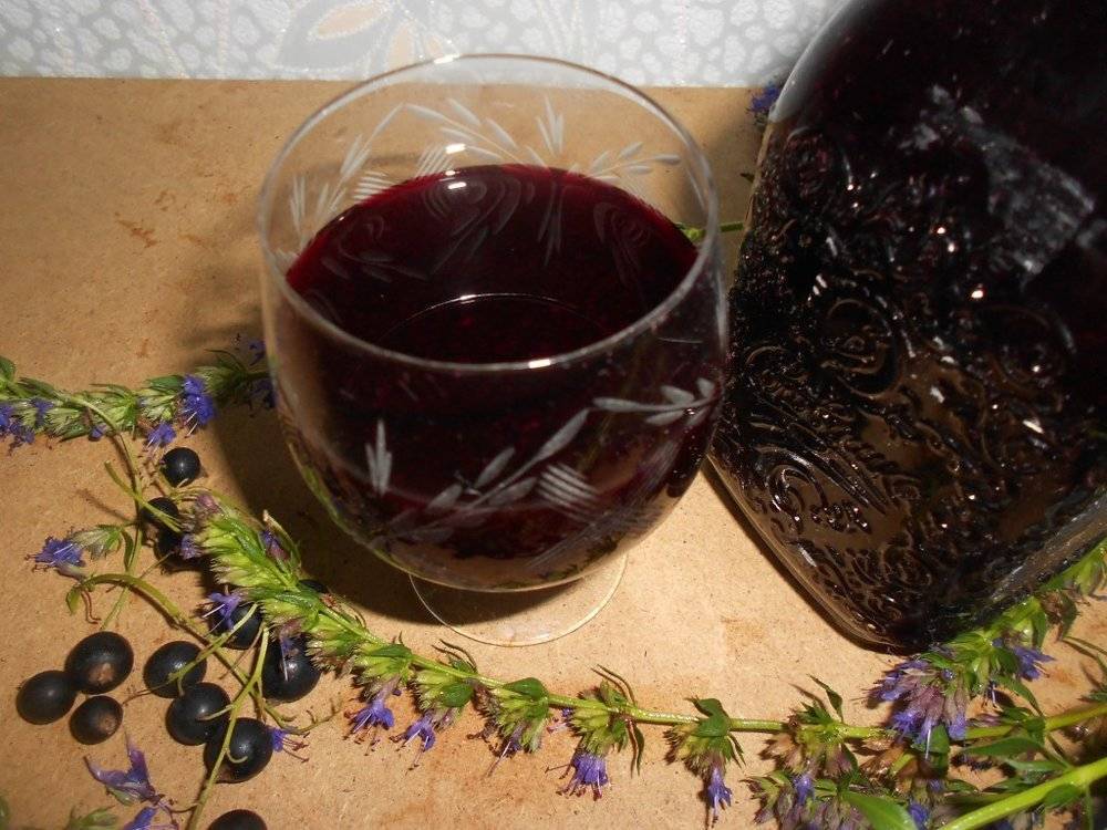 Настойка из черноплодной рябины в домашних условиях - 7 рецептов