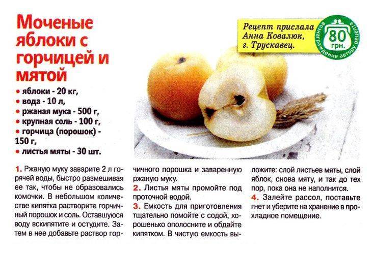 Мочёные яблоки на зиму в домашних условиях: лучшие рецепты приготовления (в банках, в бочке, с сахаром, хреном, медом и горчицей)