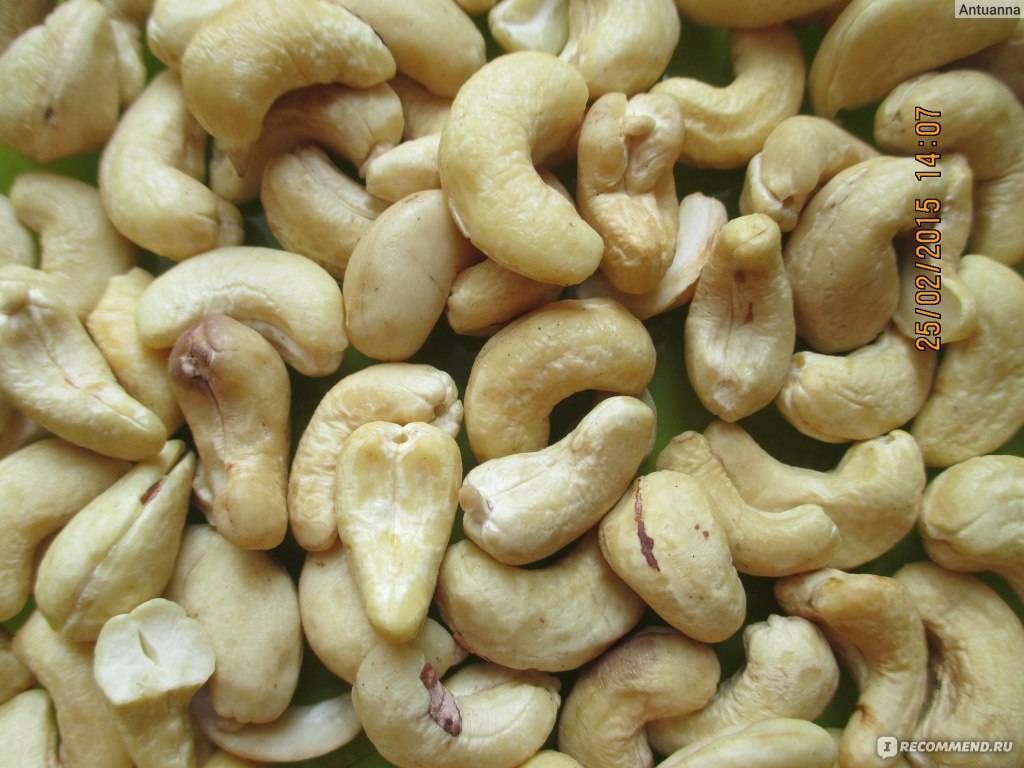Польза и вред орехов кешью для организма