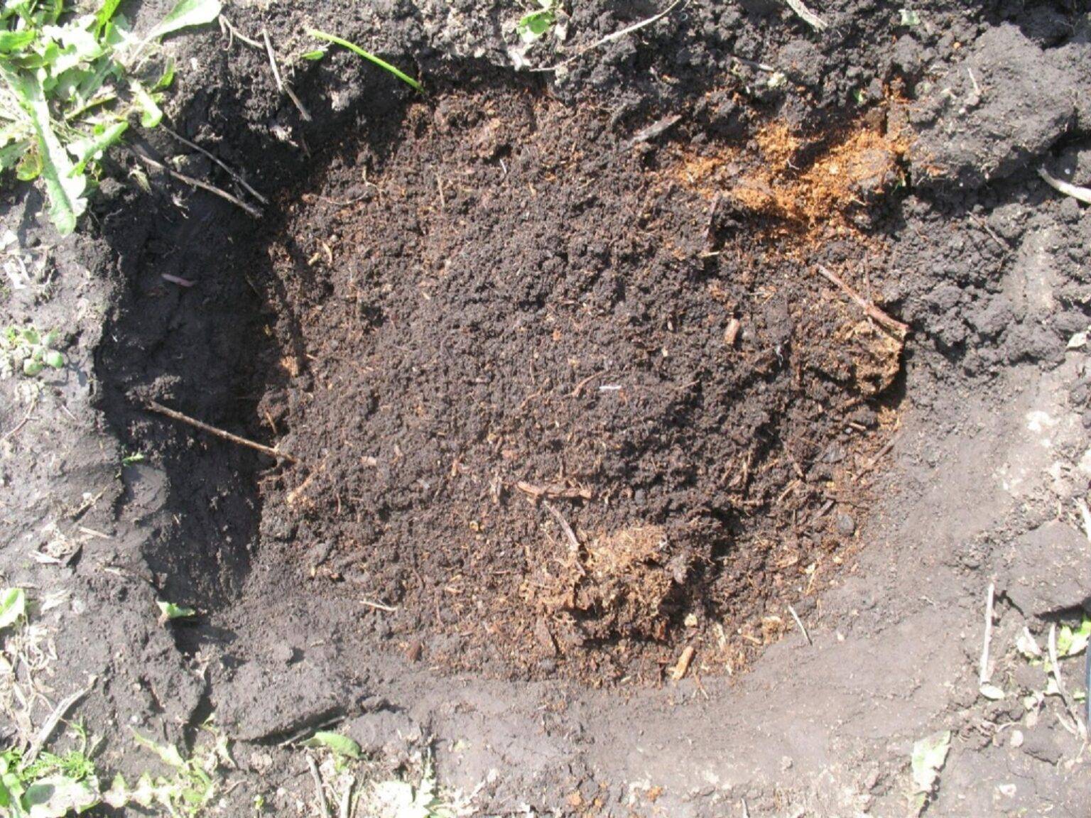 Все о подготовке почвы под огурцы весной и осенью