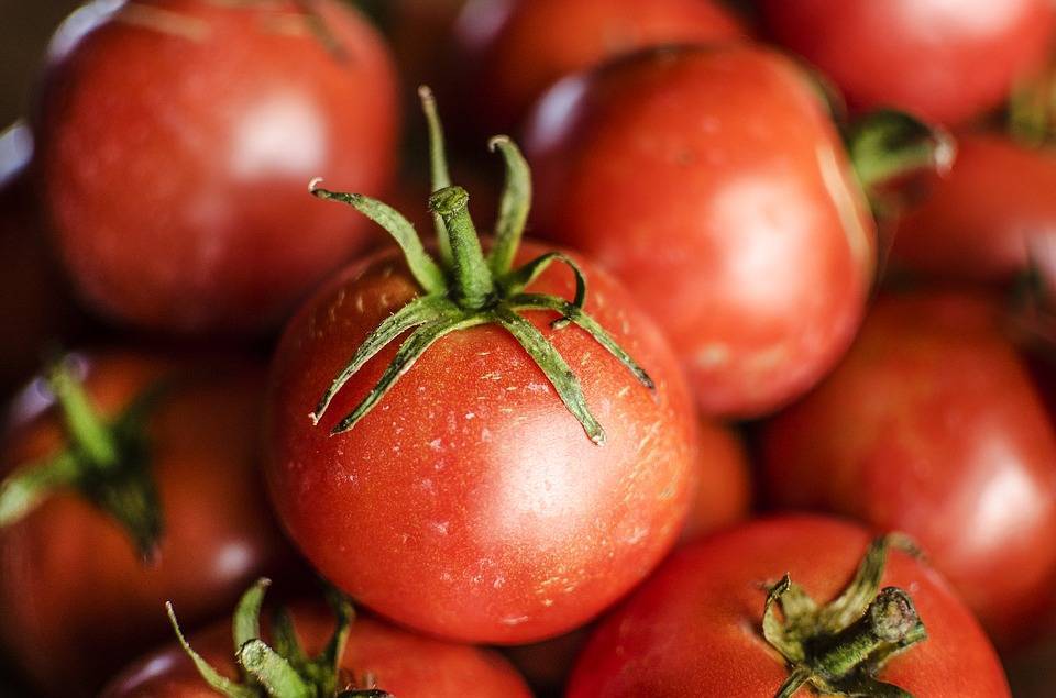 Как мариновать помидоры с виноградным листом