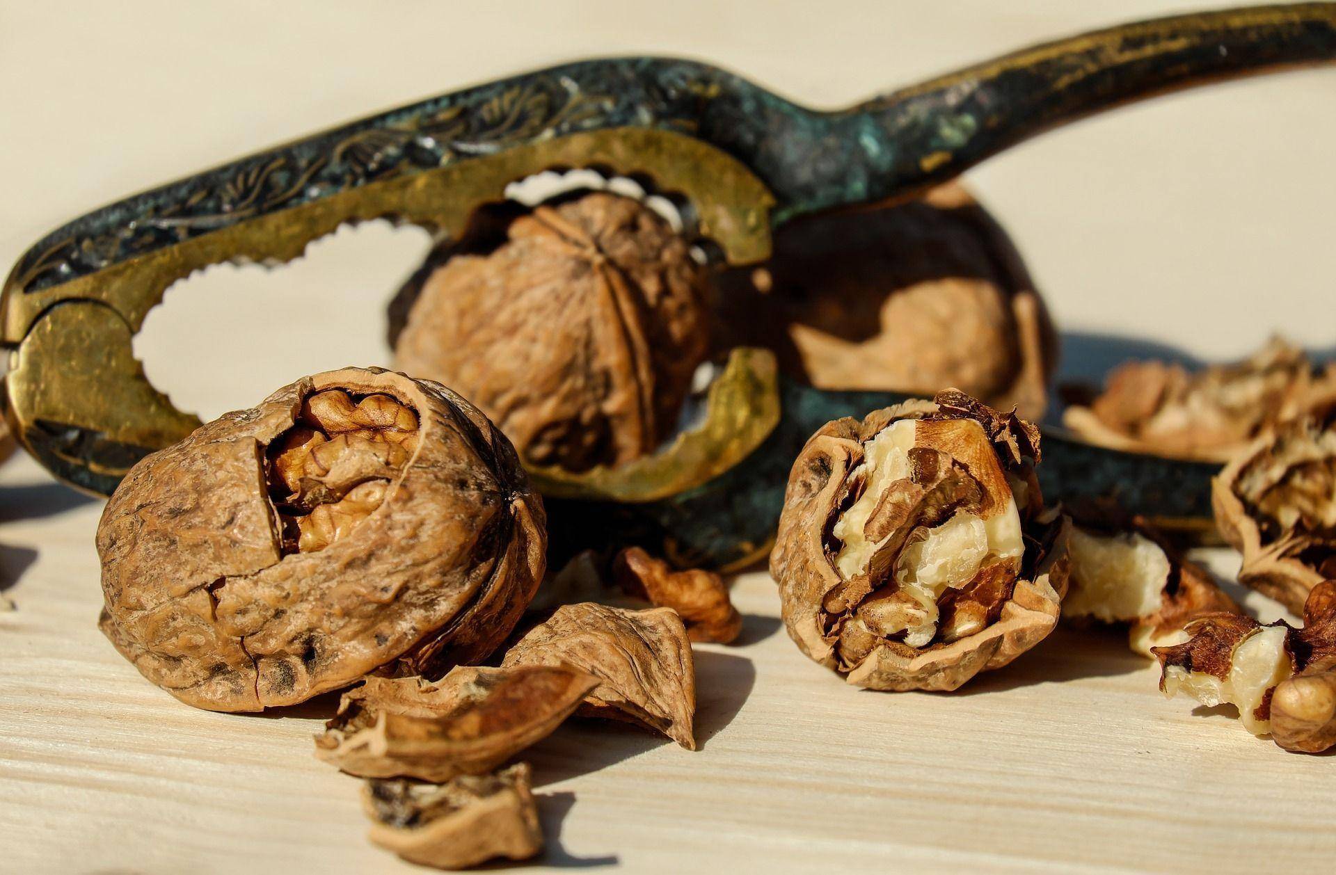 Скорлупа грецкого ореха: лечебные свойства, применение, рецепты