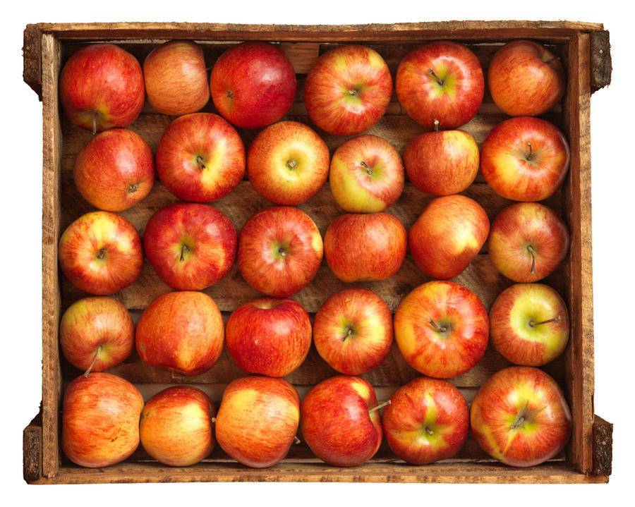 Как хранить груши в домашних условиях, можно ли выкладывать вместе с яблоками или виноградом, как сохранить фрукты на зиму до нового года
