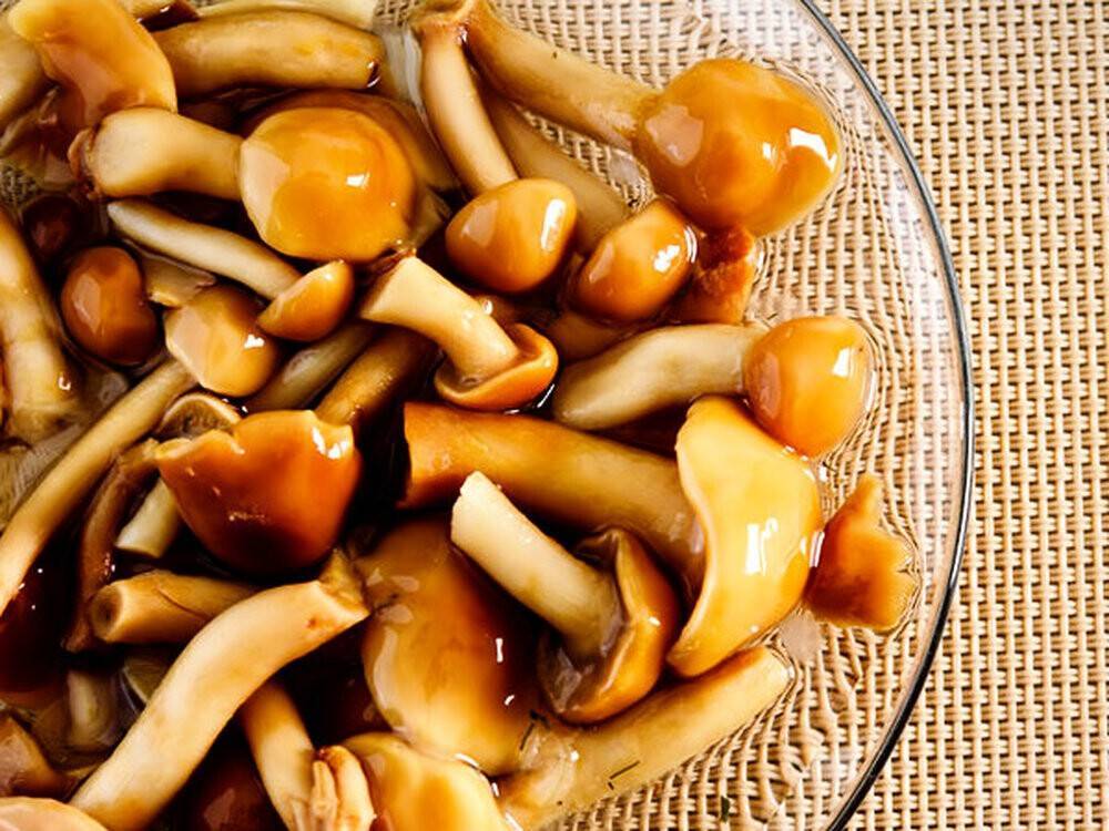 Как солить грибы на зиму – все способы консервирования