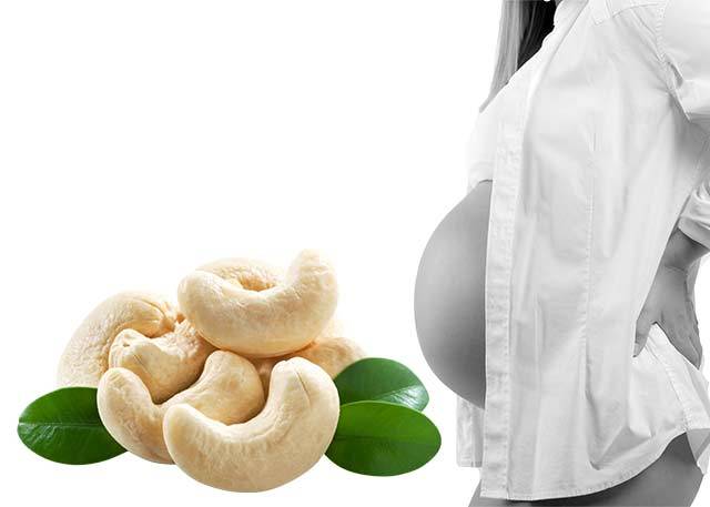 Орехи при беременности по семестрам и на ранних сроках
