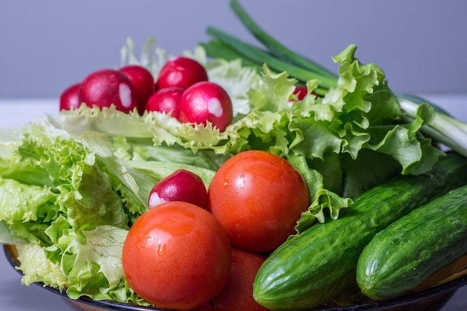 Бизнес на выращивании салата в открытом грунте или теплицы. финансовый план.