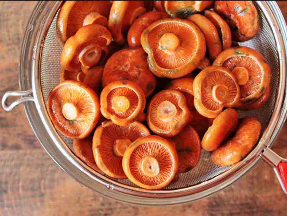 Заготовка рыжиков в домашних условиях на зиму: фото, лучшие рецепты грибной консервации