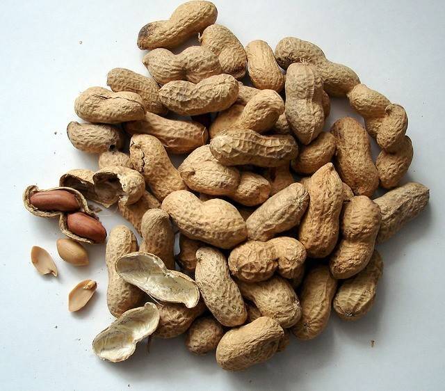 Польза и вред жареного арахиса