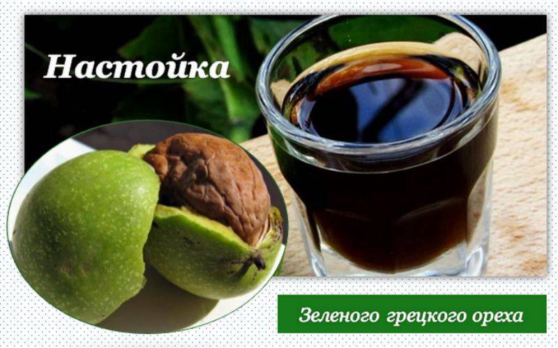 Настойка зеленого грецкого ореха на водке – применение