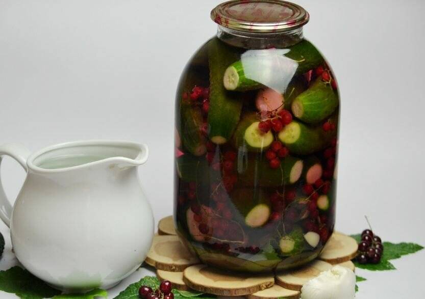 Огурцы на зиму: самый вкусный рецепт с фото пошагово