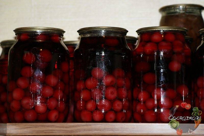 Компот из вишни с косточками — 6 пошаговых рецептов на зиму