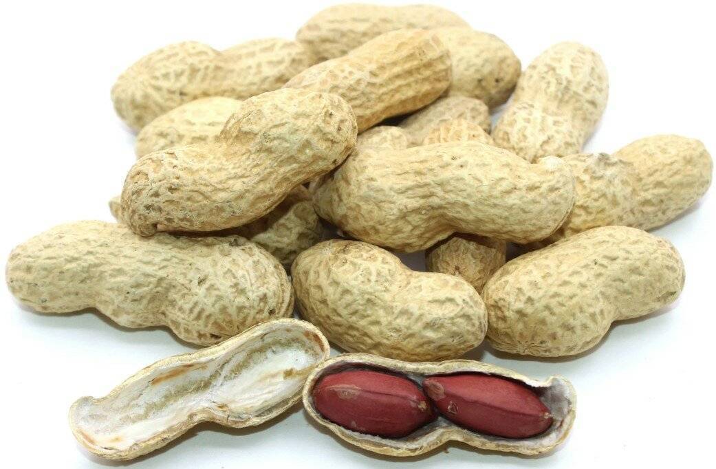 Жареный арахис при панкреатите