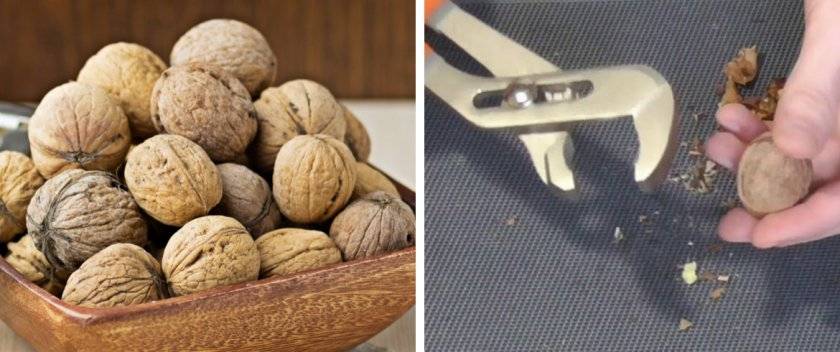 Очистка грецких орехов. как колоть плоды в домашних условиях?