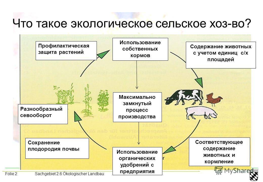 Презентация агроценозы применение экологических знаний в практической деятельности человека